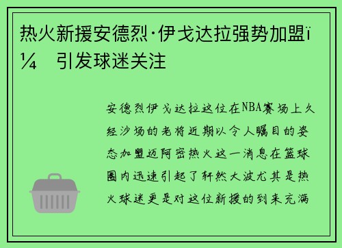 热火新援安德烈·伊戈达拉强势加盟，引发球迷关注