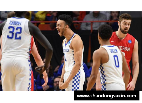 RAYBET雷竞技官网NBA野猫队：崭新时代的崛起与超越 - 副本